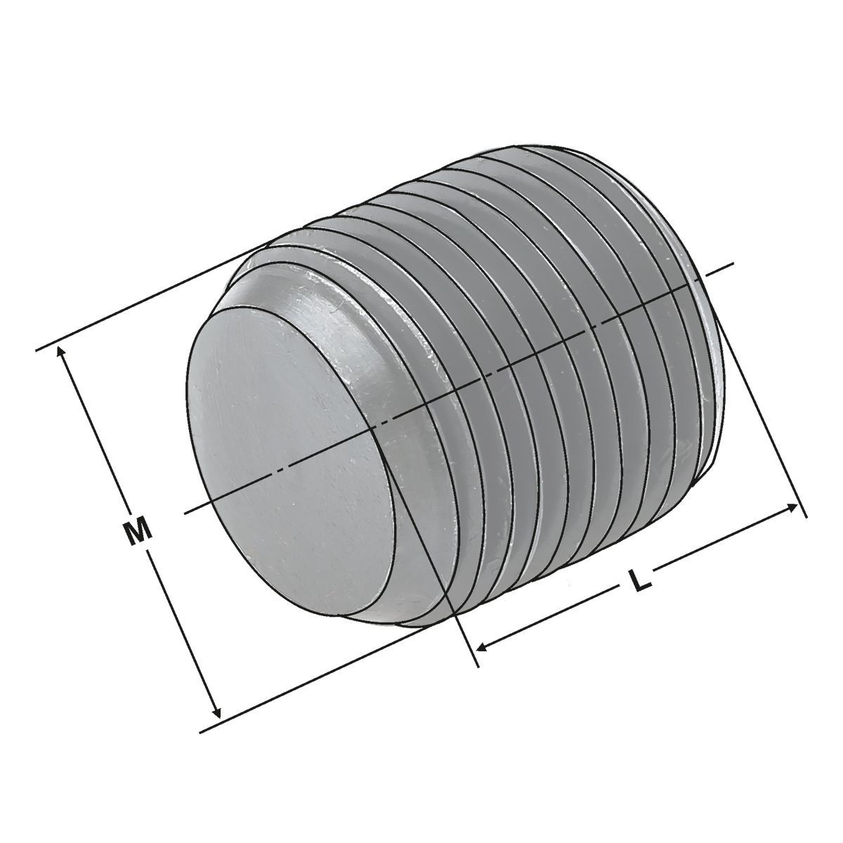 Spannschraube M16x1x12 ohne Spitze für Wendeplattenbohrer-Halter D= 40 mm