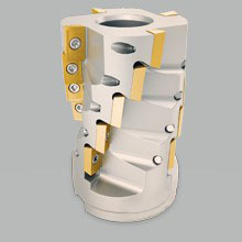 Kategoriebild-Igelfr-ser