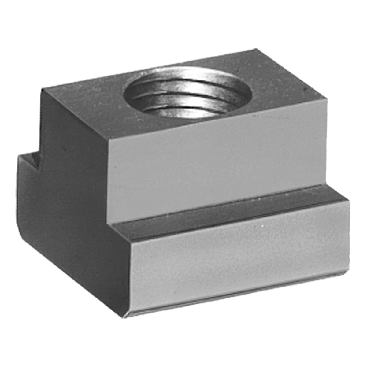 Z-KS-80028_1 T-Nuten (T-Nutensteine) M8x10